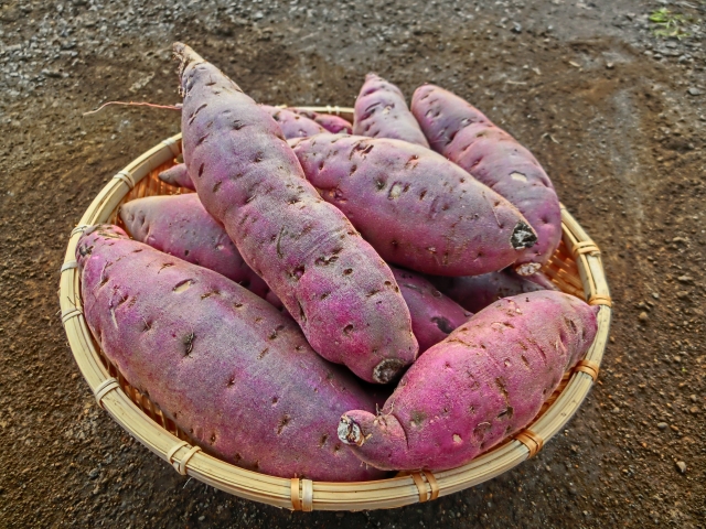 【まとめ】干し芋は簡単に作れ、味、保存性に優れている!