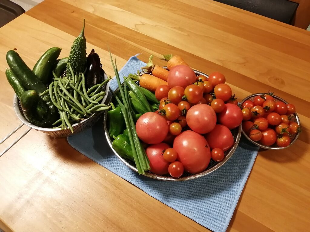 プランター菜園よりも栽培がし易く、収穫が期待できる